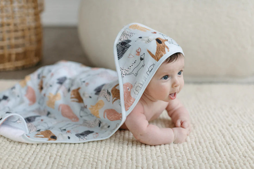 Towels & Cloths