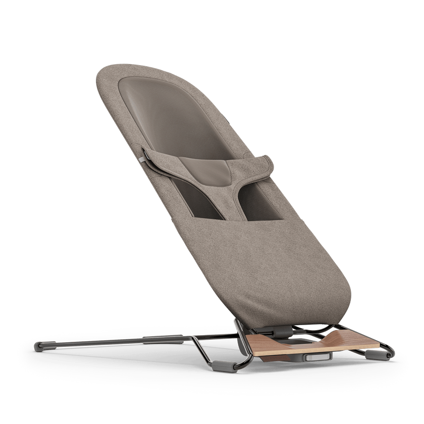 UPPAbaby Mira 2 in 1 Bouncer & Seat