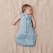 ErgoPouch 2.5 TOG Cocoon Swaddle Sacks Dragonflies