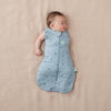 ErgoPouch 2.5 TOG Cocoon Swaddle Sacks Dragonflies