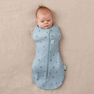 ErgoPouch 1.0 TOG Cocoon Swaddle Sacks Dragonflies