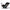 Baby Jogger Convertible Car Seat - City View (Lunar Black)