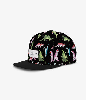 Headster Snapback Hats Dino Black