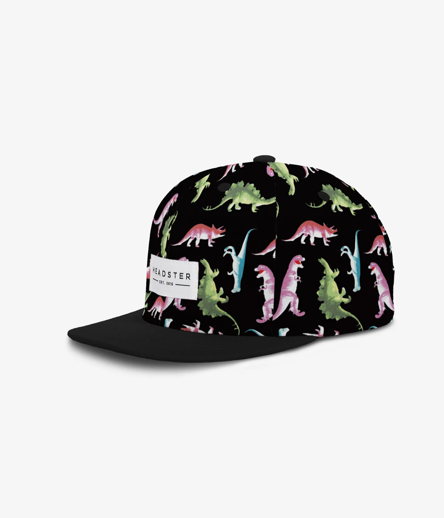 Headster Snapback Hats Dino Black