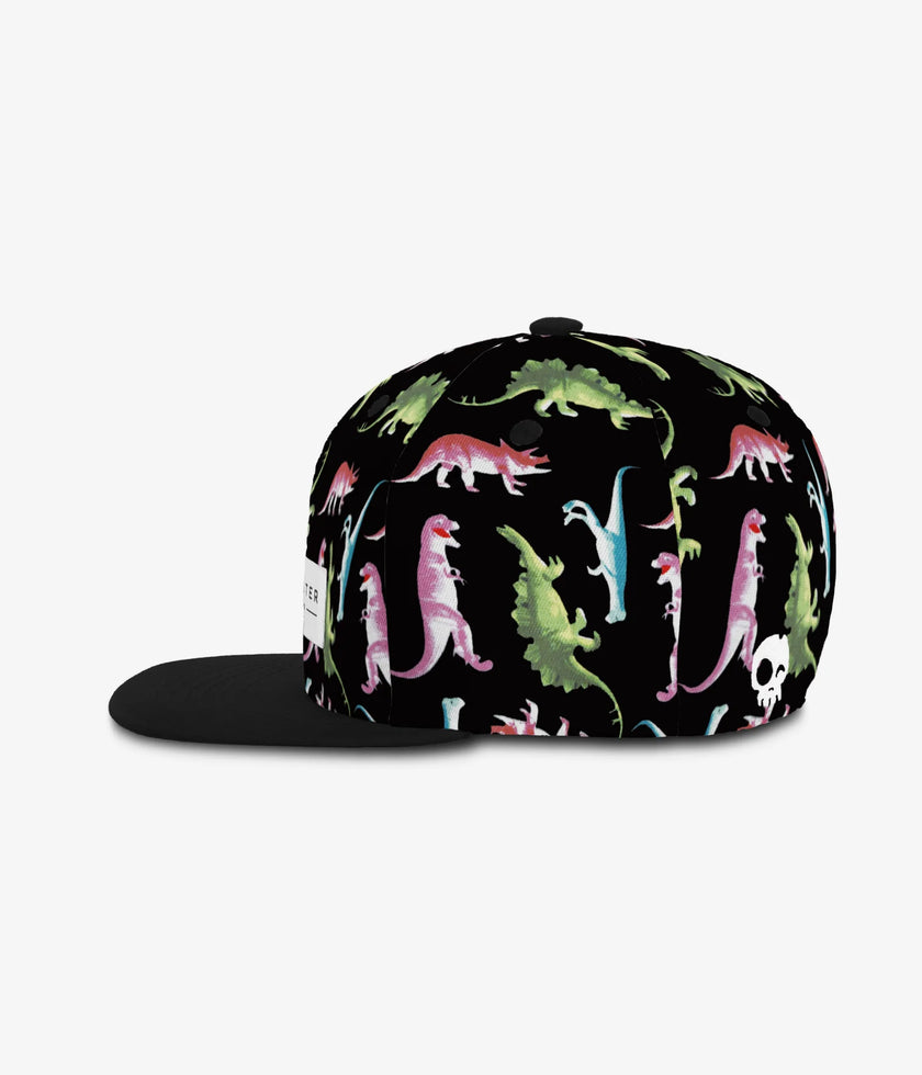 Headster Snapback Hats Dino Black