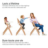 Maxi-Cosi Nesta Complete High Chair