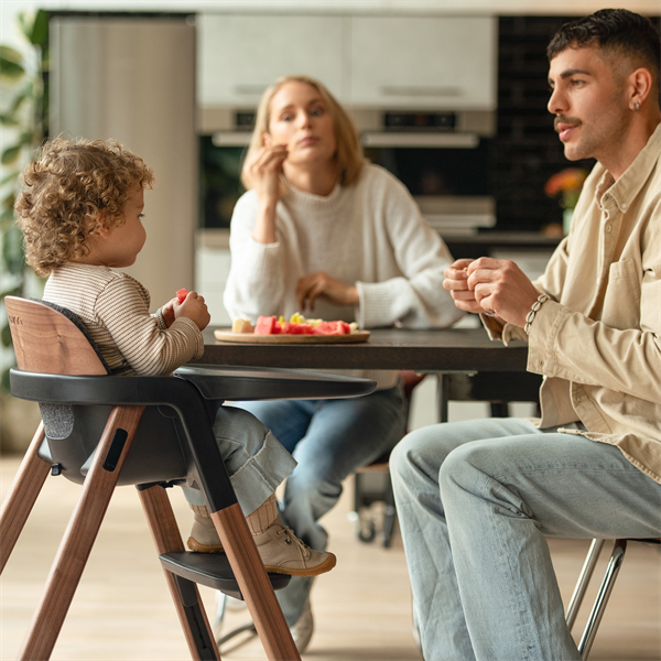Nuna BRYN High Chair