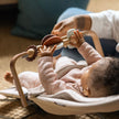 UPPAbaby Mira Toy Bars