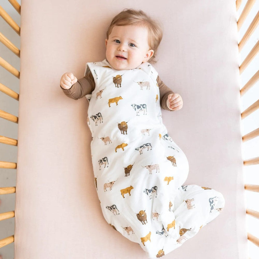 Kyte Baby 1.0 TOG Sleep Bag Moo