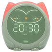 Cloud B Owlie Magical Sleep Timer