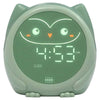 Cloud B Owlie Magical Sleep Timer