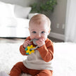 Dr. Brown’s Learning Loop Teether Fox
