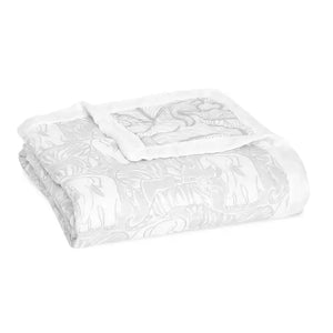 Aden & Anais Silky Soft Dream Blanket