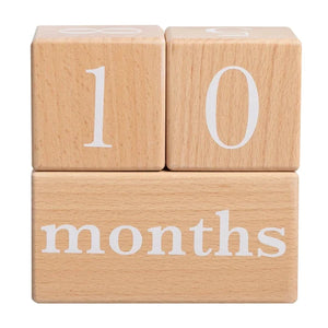 Pearhead Wooden Age Block Set