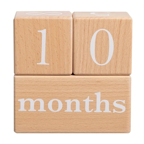 Pearhead Wooden Age Block Set