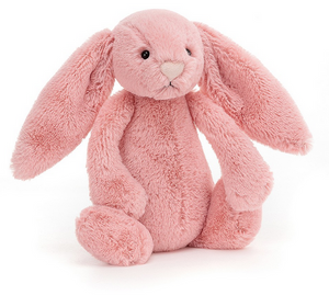 Screenshot 2022-02-17 at 16-07-00 JELLYCAT PETAL BUNNY - Google Search.png