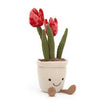 TULIP.jpg