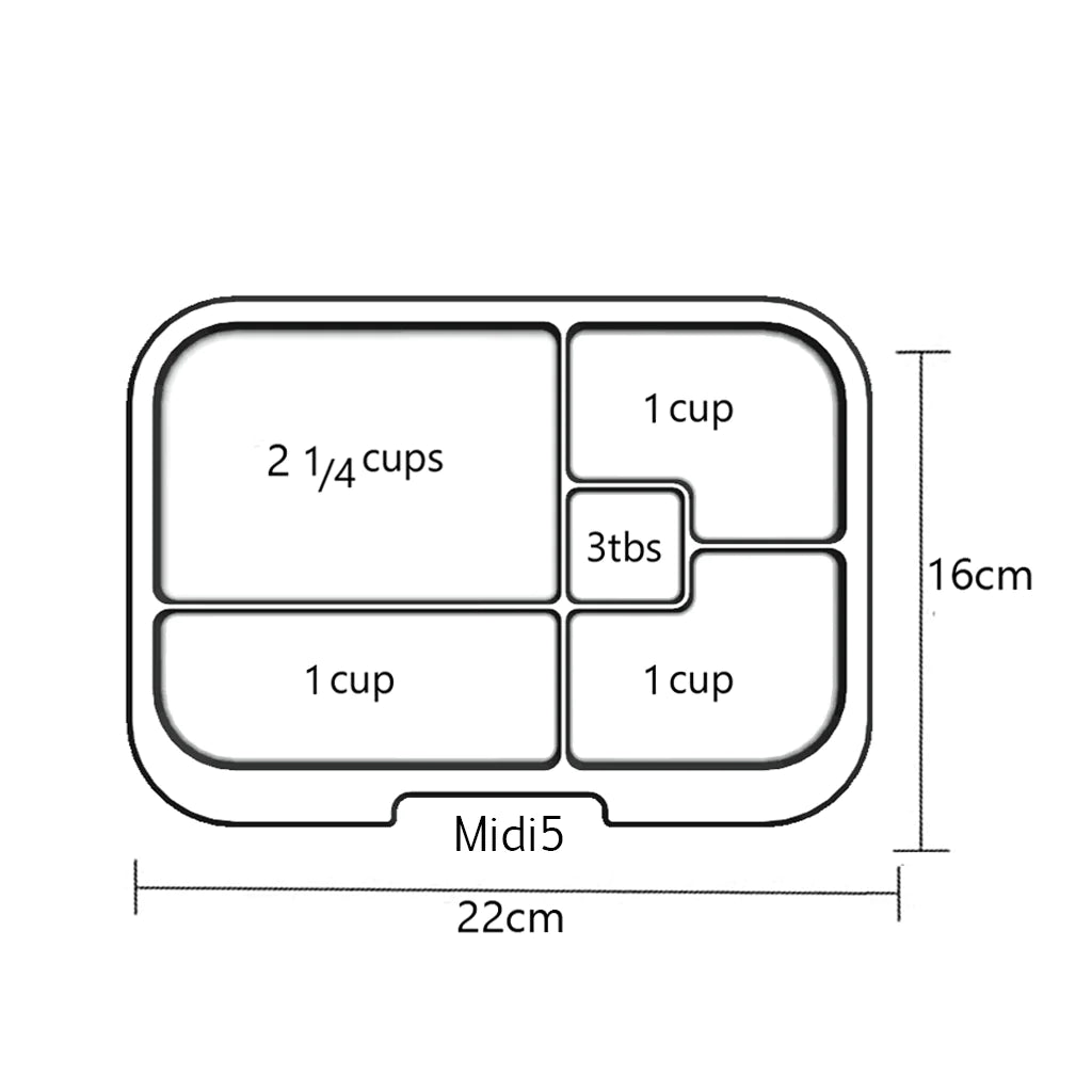 Munch Box Layout Munchbox Midi5 Clear Tray – Ready Set Baby