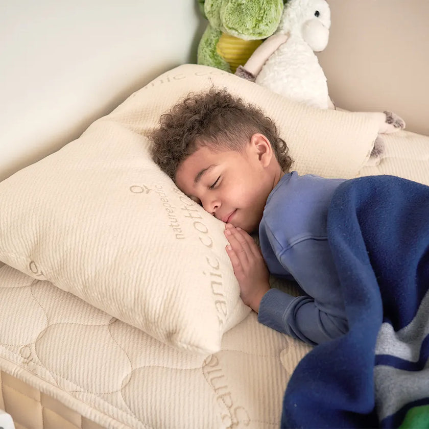 Naturepedic Organic Cotton / PLA Standard Pillow - Low Fill