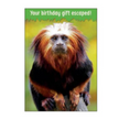 BIRTHDAY ADULT HUMOR CARDS BIRTHDAY GIFT ESCAPED