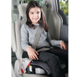 Rentals - Booster Car Seats