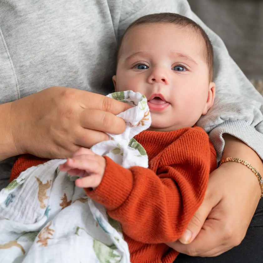 aden + anais Muslin Swaddles (4 pack)