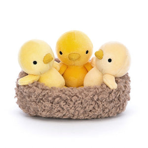 NEST3C.jpg